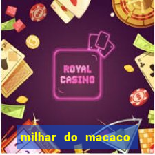 milhar do macaco que mais saem no jogo do bicho