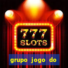 grupo jogo do bicho whatsapp salvador