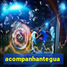 acompanhanteguanambi