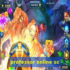 professor online sc