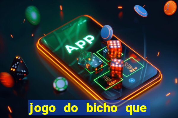 jogo do bicho que paga no pix