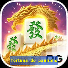 fortuna do paulinho do roupa nova