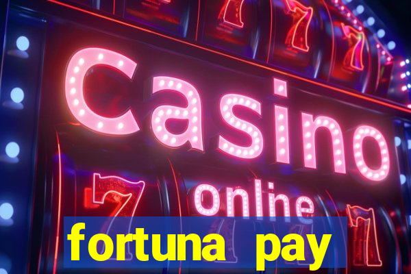 fortuna pay consultoria financeira ltda