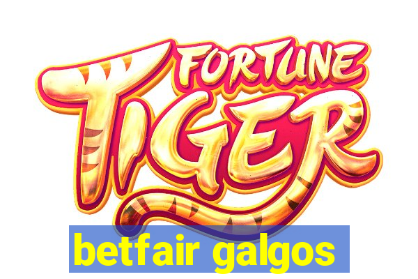 betfair galgos