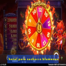 hotel para cachorro blumenau