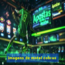 imagens de motel cobras